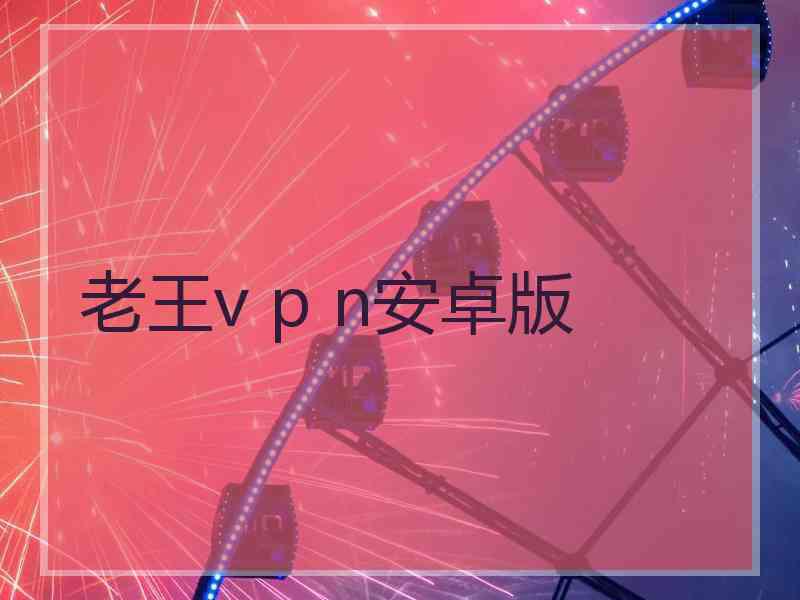 老王v p n安卓版