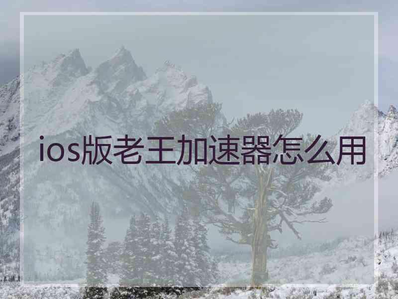 ios版老王加速器怎么用