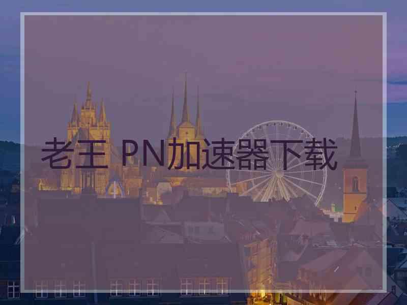 老王 PN加速器下载