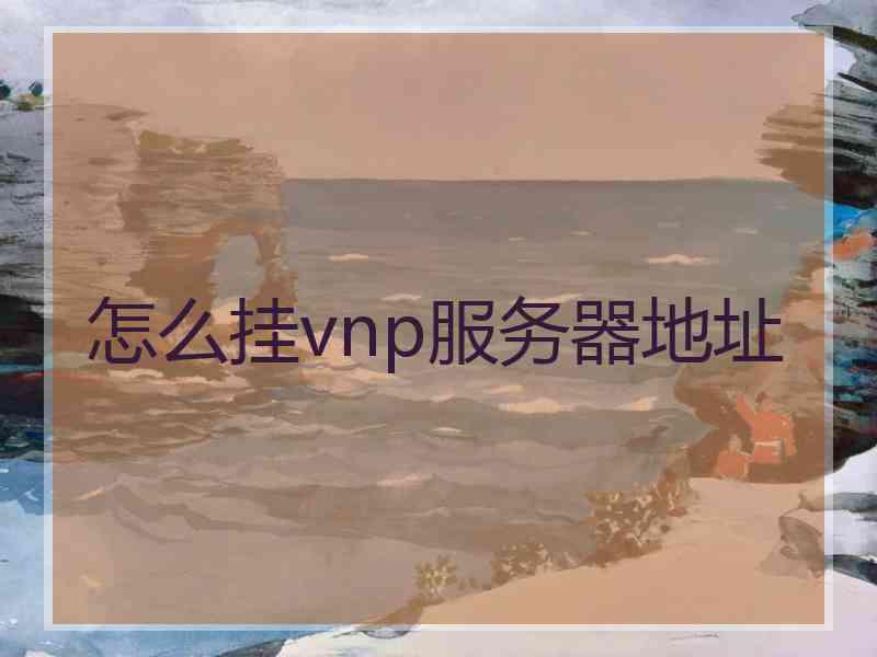 怎么挂vnp服务器地址