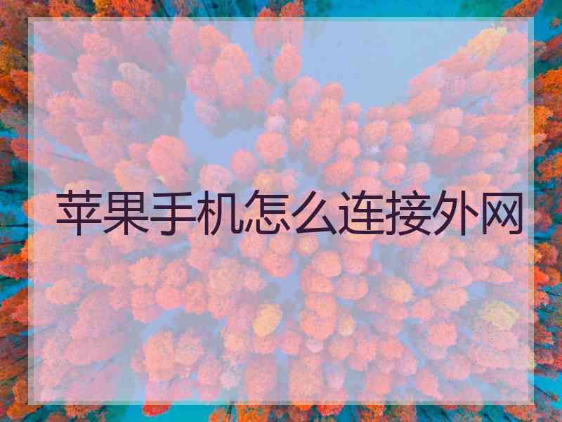 苹果手机怎么连接外网