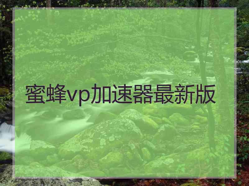 蜜蜂vp加速器最新版