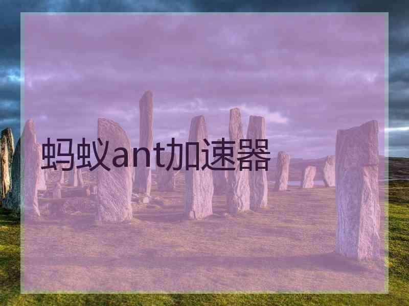 蚂蚁ant加速器