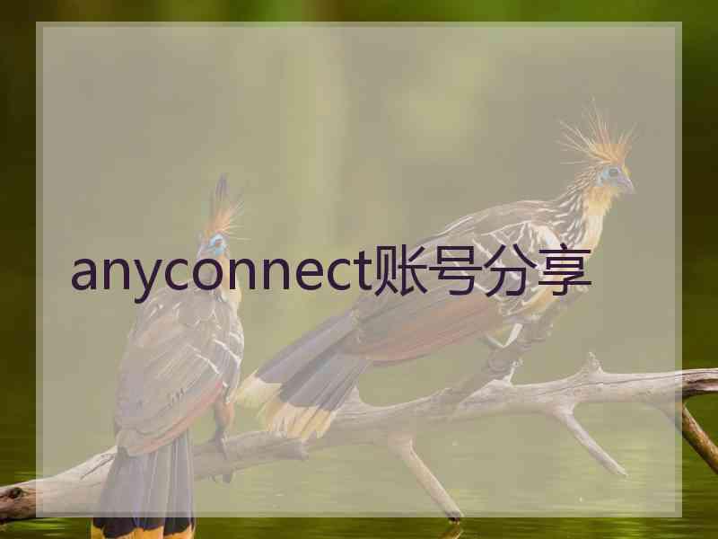 anyconnect账号分享
