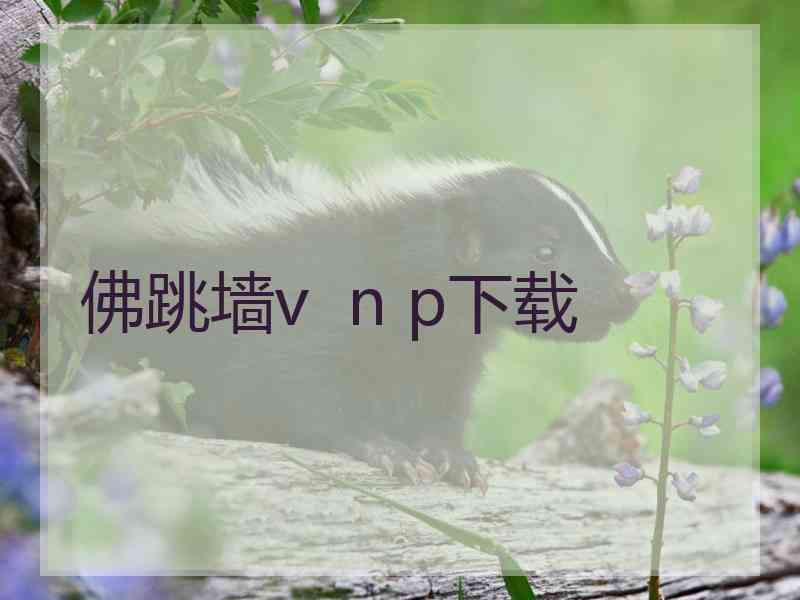 佛跳墙v  n p下载