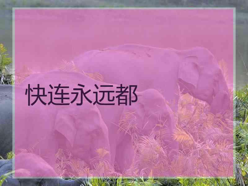 快连永远都