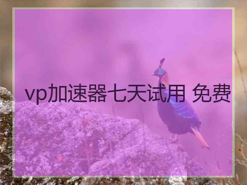 vp加速器七天试用 免费