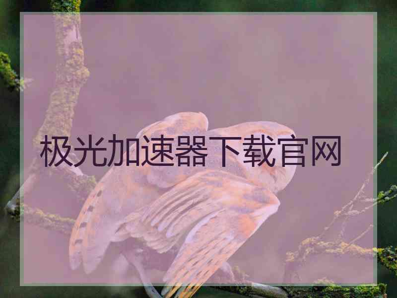 极光加速器下载官网