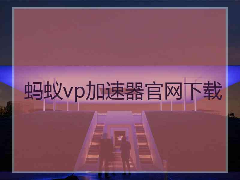 蚂蚁vp加速器官网下载