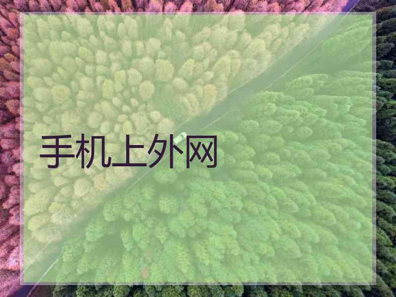 手机上外网