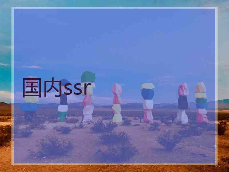 国内ssr