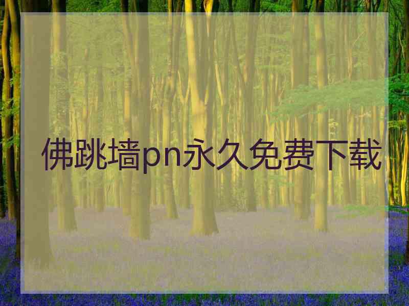 佛跳墙pn永久免费下载