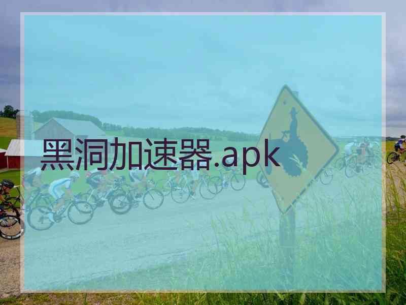 黑洞加速器.apk