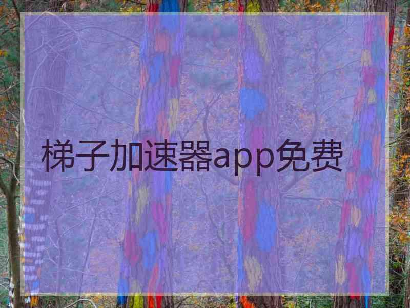 梯子加速器app免费