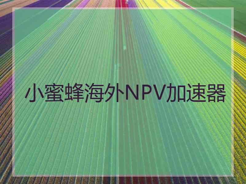 小蜜蜂海外NPV加速器