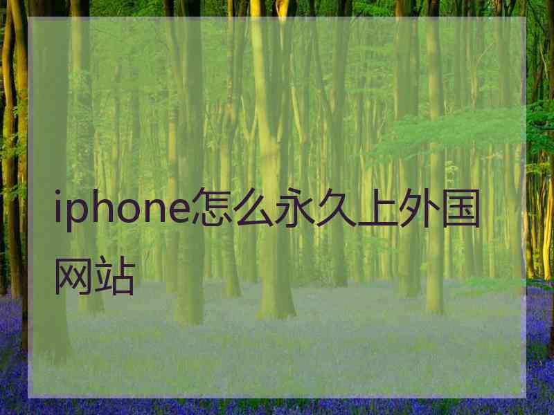 iphone怎么永久上外国网站