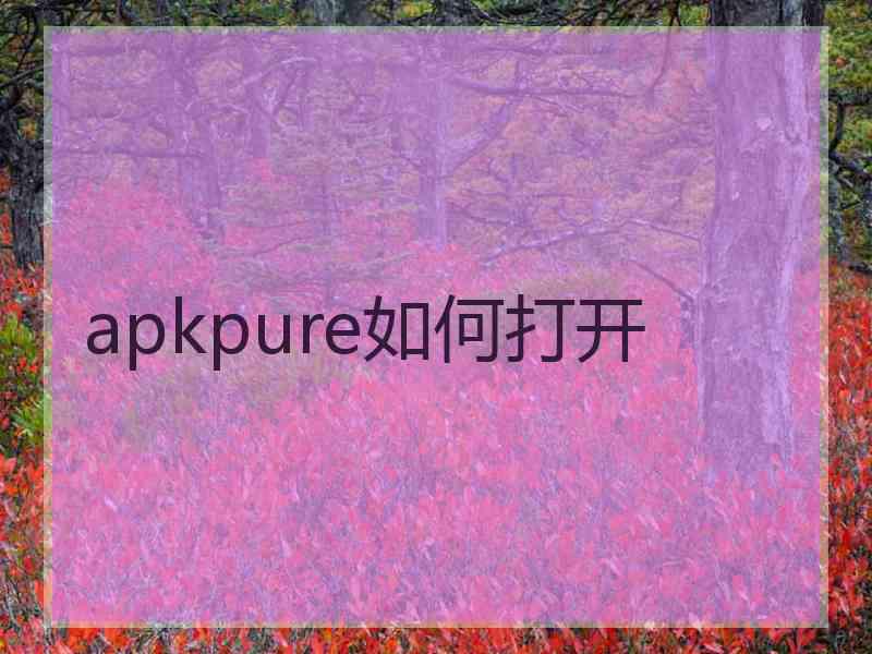 apkpure如何打开