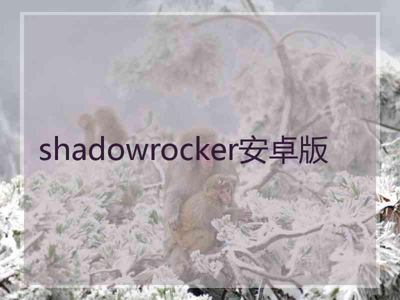 shadowrocker安卓版