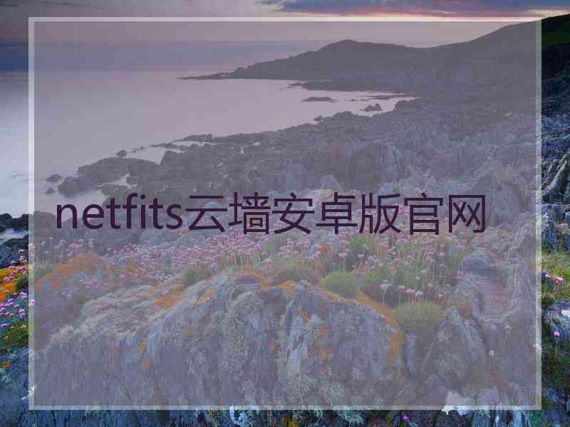 netfits云墙安卓版官网