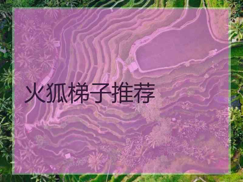 火狐梯子推荐