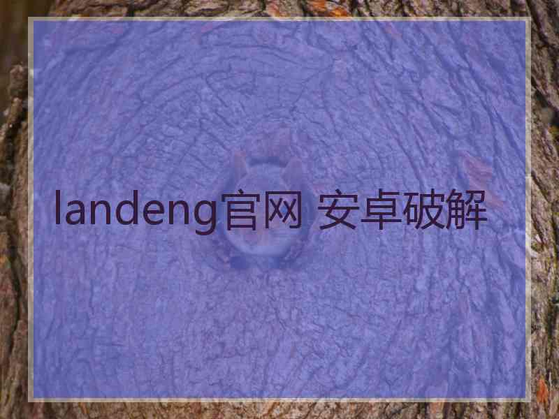 landeng官网 安卓破解