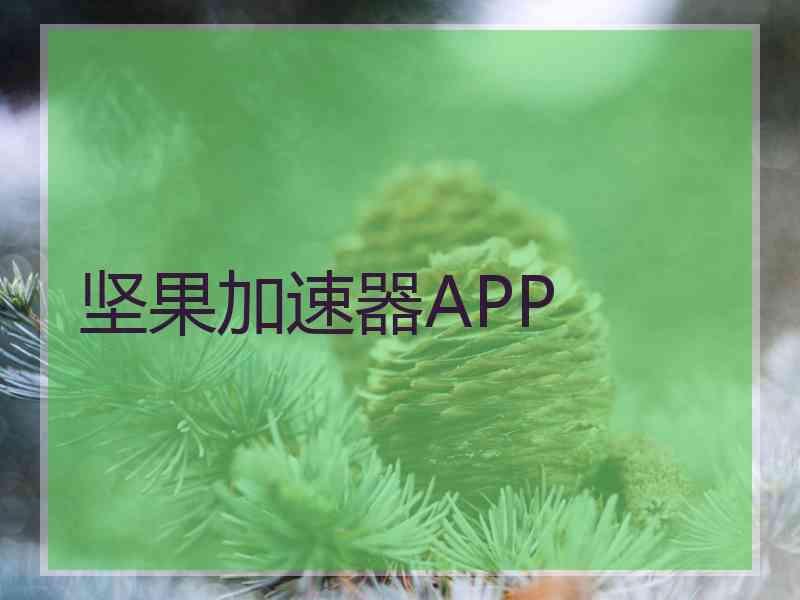 坚果加速器APP