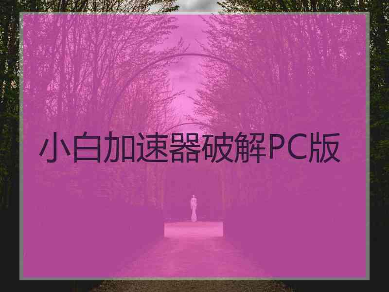 小白加速器破解PC版