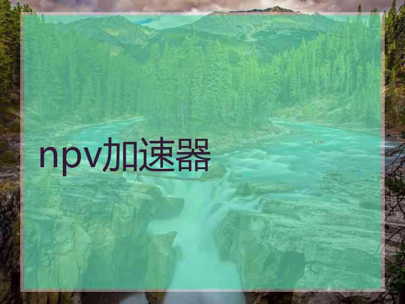 npv加速器