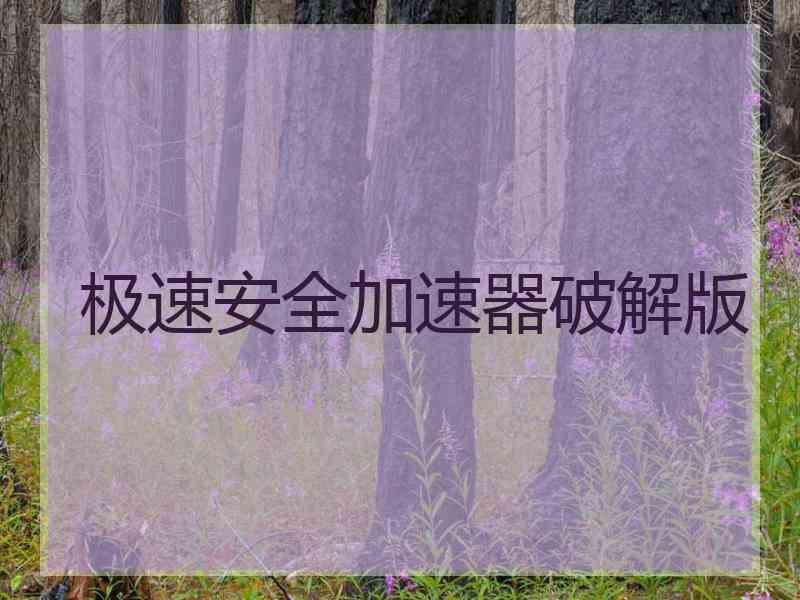 极速安全加速器破解版