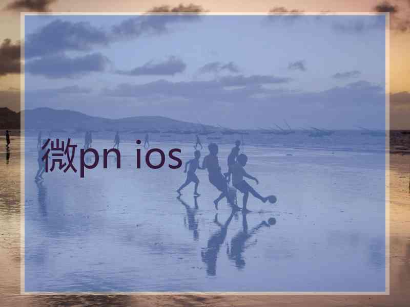 微pn ios