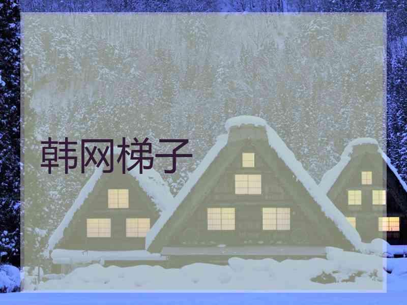 韩网梯子