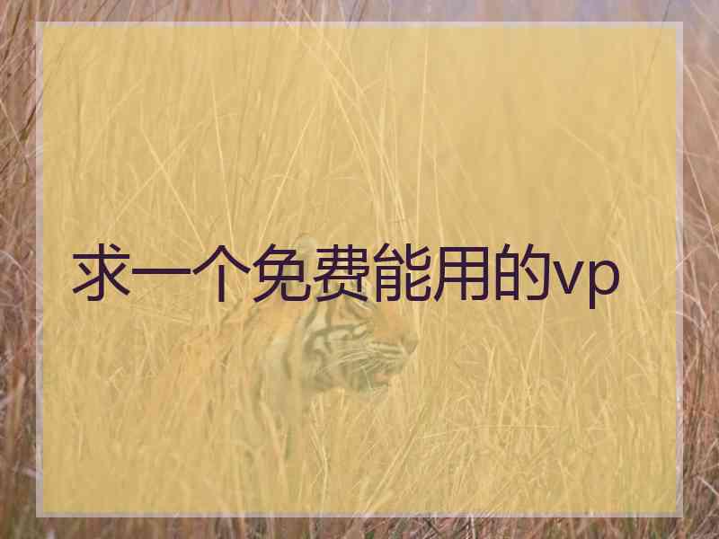 求一个免费能用的vp