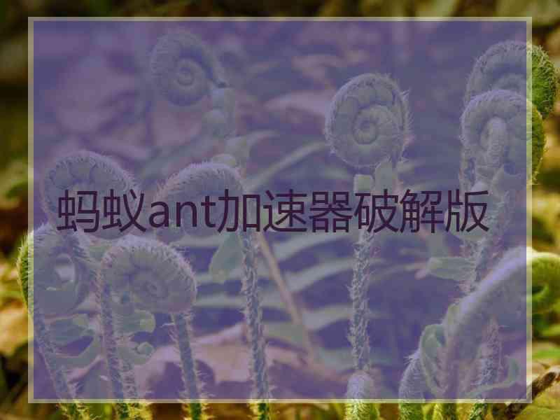 蚂蚁ant加速器破解版