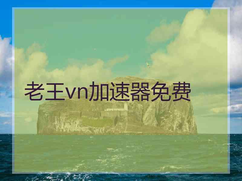 老王vn加速器免费