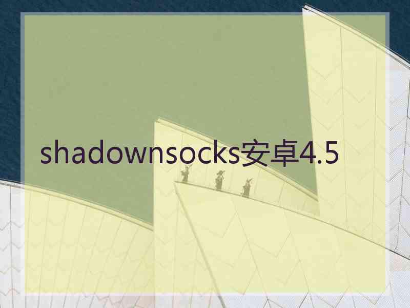 shadownsocks安卓4.5