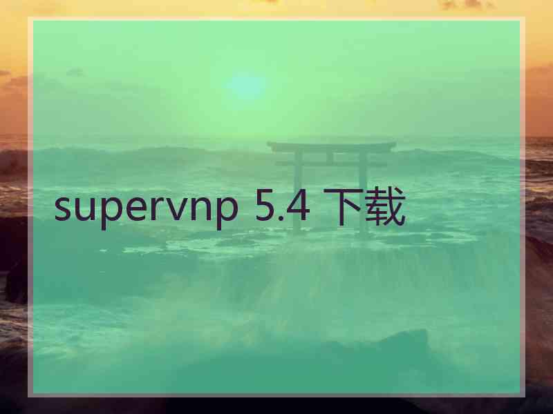 supervnp 5.4 下载