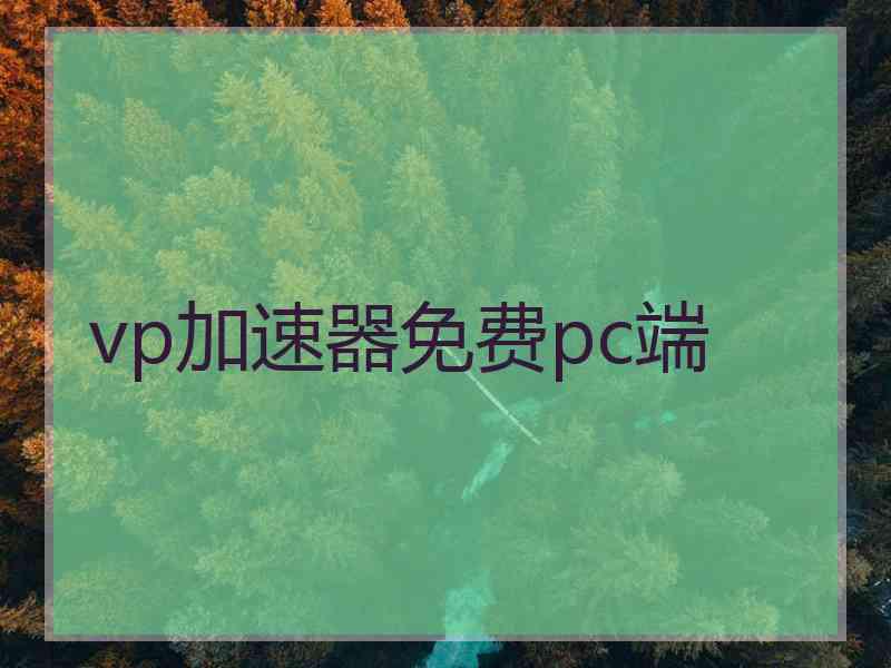 vp加速器免费pc端