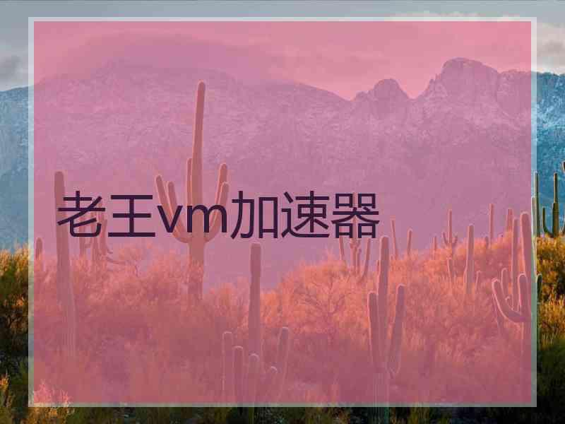 老王vm加速器