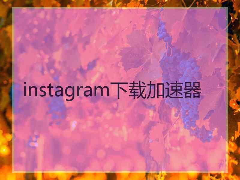 instagram下载加速器