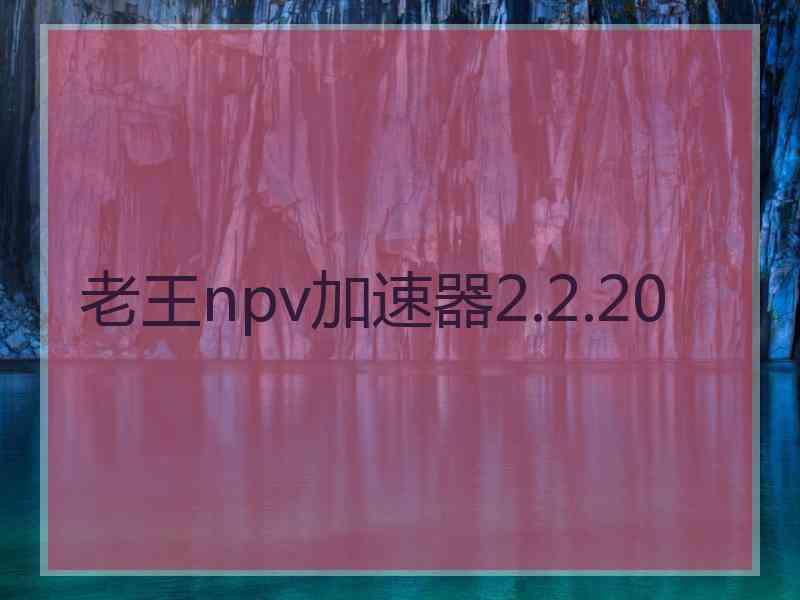 老王npv加速器2.2.20