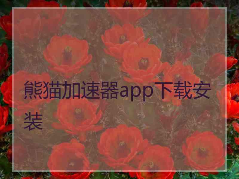 熊猫加速器app下载安装