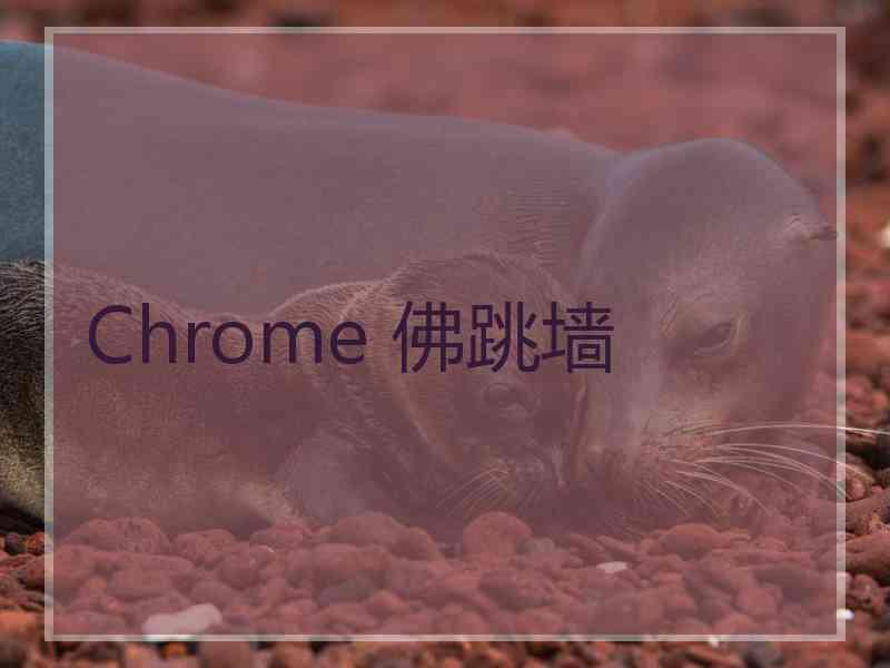 Chrome 佛跳墙