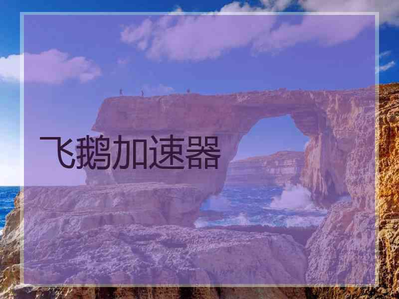 飞鹅加速器