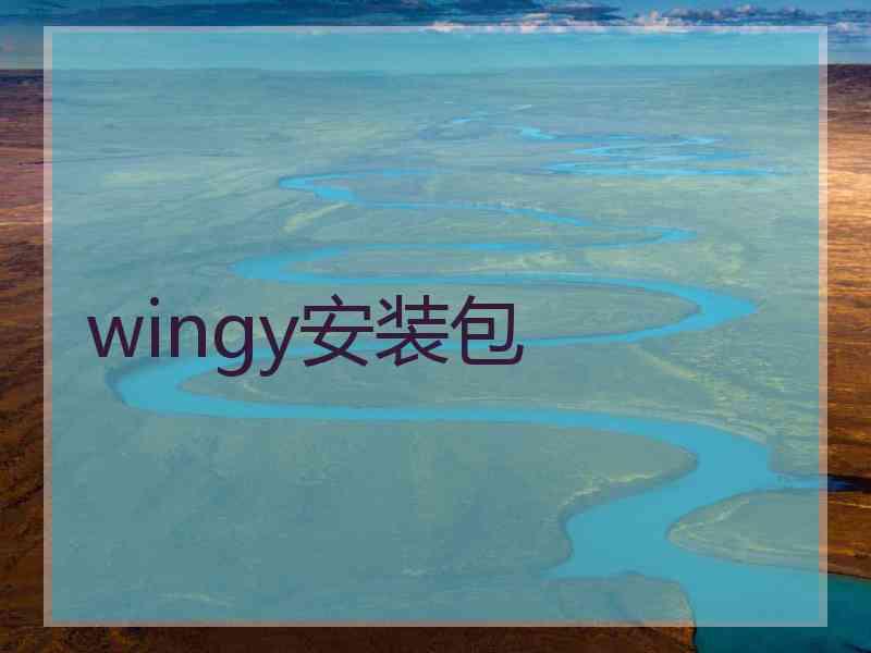 wingy安装包