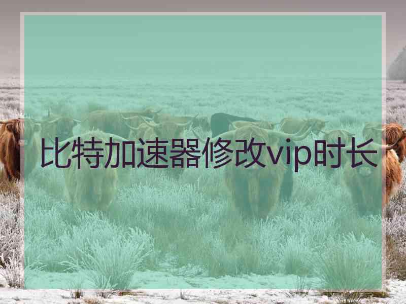 比特加速器修改vip时长