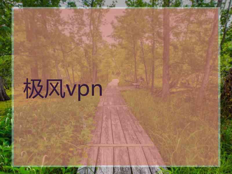 极风vpn