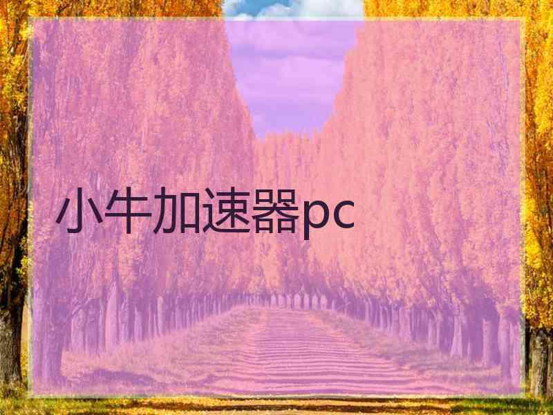 小牛加速器pc