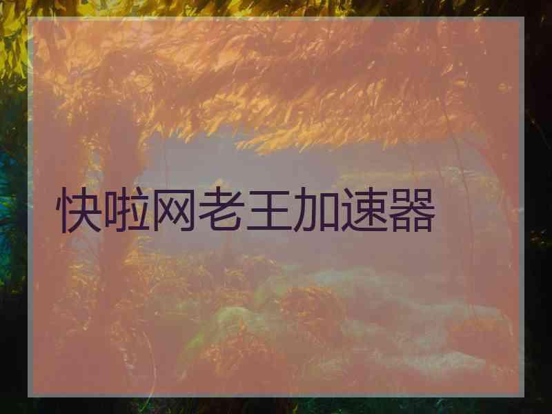 快啦网老王加速器