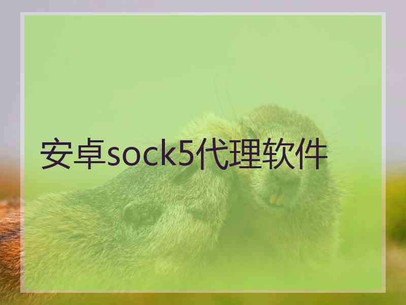 安卓sock5代理软件