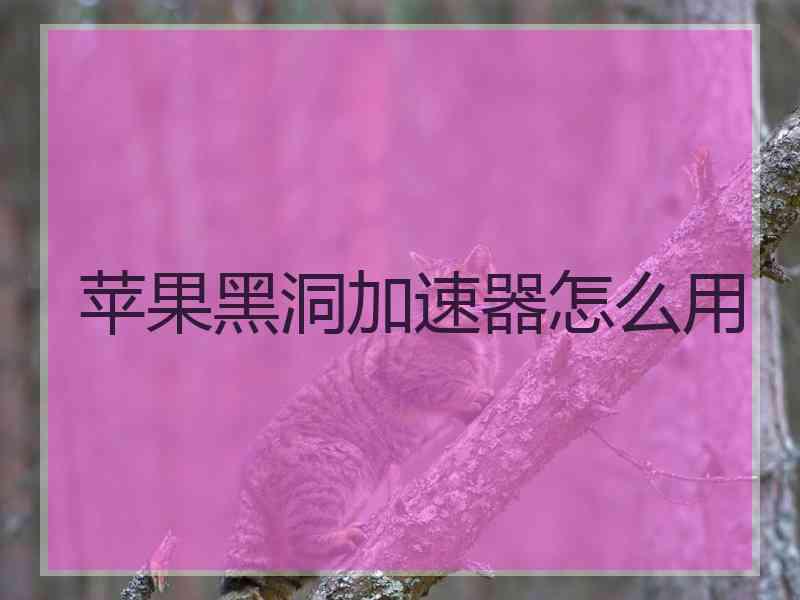 苹果黑洞加速器怎么用